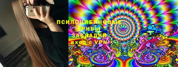 дживик Кинешма