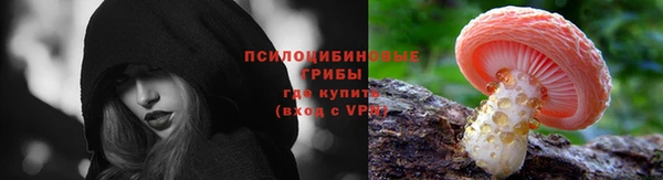 дживик Кинешма