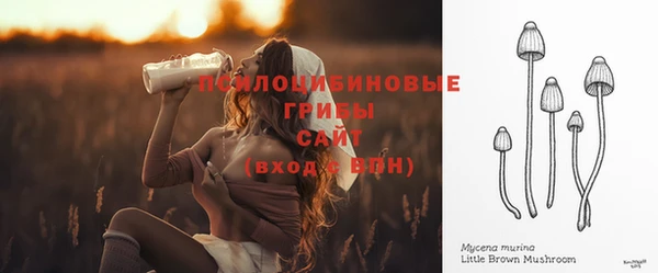 твердый Каменка