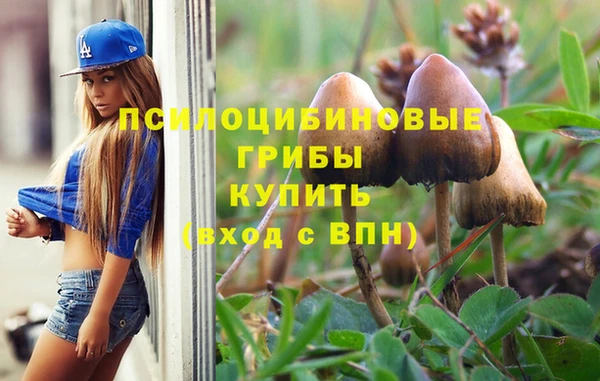 дживик Каменск-Шахтинский
