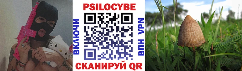 Псилоцибиновые грибы MAGIC MUSHROOMS  Малая Вишера 